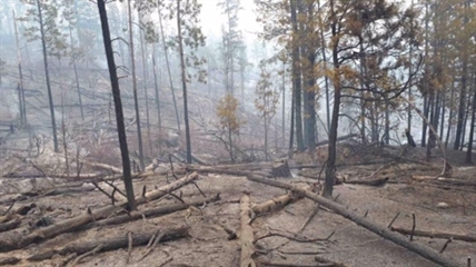 Wildfire burning near Lytton now under under control | iNFOnews.ca Wildfire burning near Lytton now under under control | iNFOnews.ca