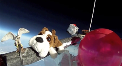 Students launch 'stuff' into space | iNFOnews.ca Students launch 'stuff' into space | iNFOnews.ca