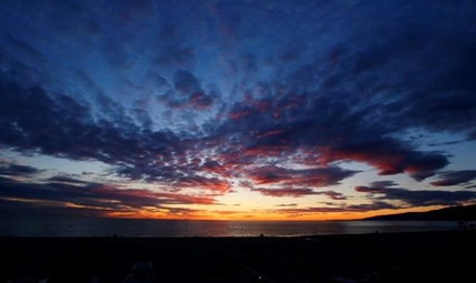'Signs of hope:' Scientists say ocean ecosystems can be restored within 30 years | iNFOnews.ca