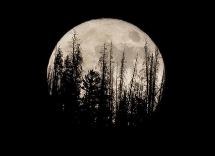Catch this week's supermoon, biggest and brightest of year | iNFOnews.ca
