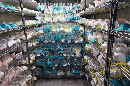 Health Canada warns against 'fraudulent and unauthorized' N95 masks | iNFOnews.ca