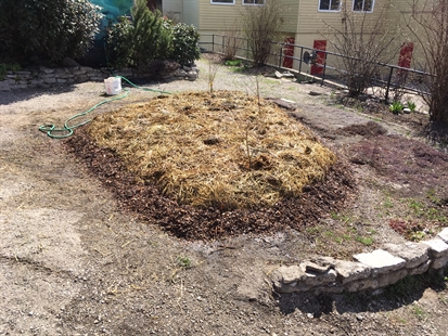 Vernon group using public spaces to grow fruits, vegetables for community | iNFOnews.ca