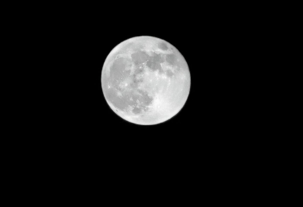 iN PHOTOS: Check out these amazing shots of the last supermoon of 2020 | iNFOnews.ca