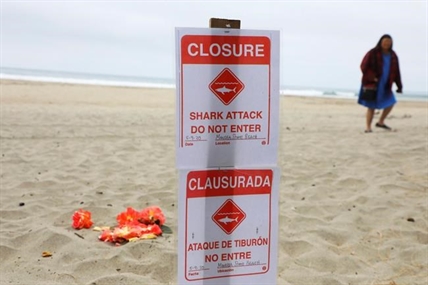 Surfer killed in shark attack was 26-year-old California man | iNFOnews.ca