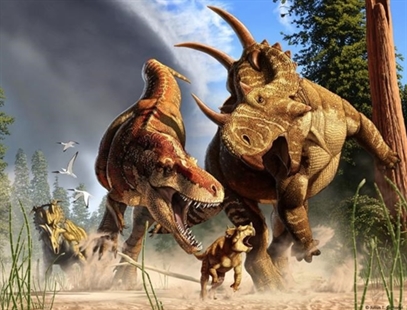 Research says T. rex was built for distance, not speed | iNFOnews.ca