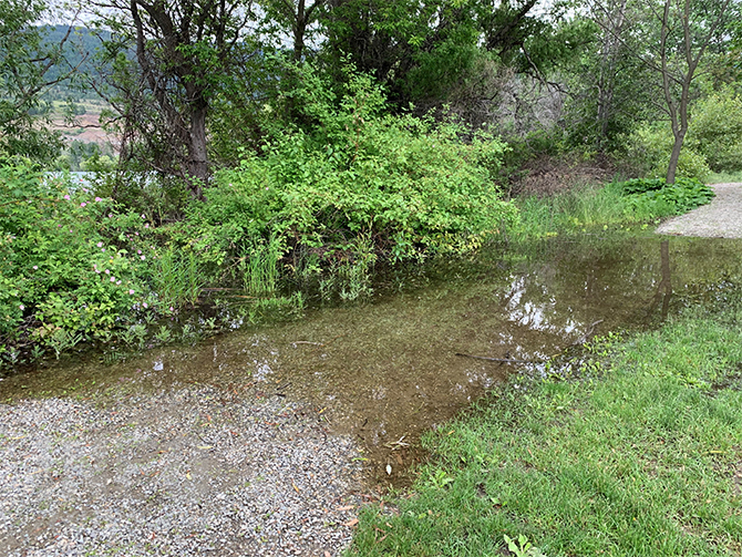 Wet May and June raising Okanagan Lake levels | iNFOnews.ca Wet May and June raising Okanagan Lake levels | iNFOnews.ca