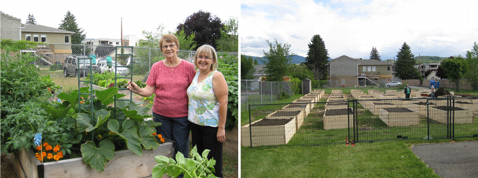 Community garden leadership still uncertain | iNFOnews.ca Community garden leadership still uncertain | iNFOnews.ca