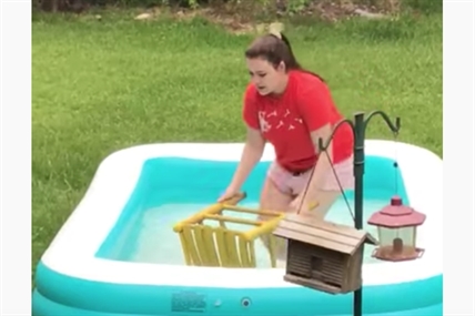 TRENDING NOW: Attempt to save squirrel from pool backfires | iNFOnews.ca