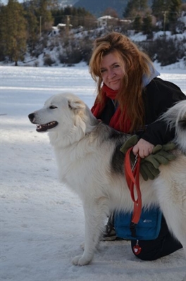 Puppy mill ban on council's agenda | iNFOnews.ca