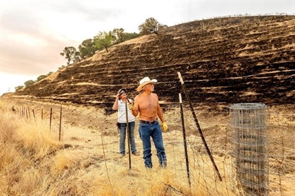 Lightning sparks new wildfires across California | iNFOnews.ca