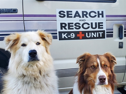 Search dog organization specializing in human remains detection looking to establish in Okanagan | iNFOnews.ca