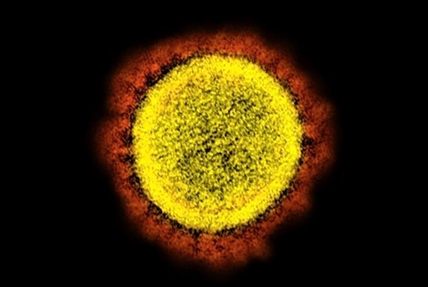 Doctors studying why obesity may be tied to serious COVID-19 cases | iNFOnews.ca