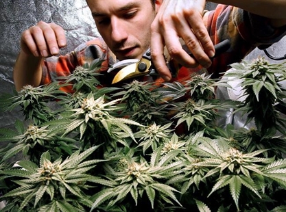 A long road: Weed goes on sale years after approval in Maine | iNFOnews.ca