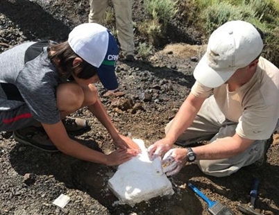 'Discovery by little Nathan:' 12-year-old makes fossil find in southern Alberta | iNFOnews.ca