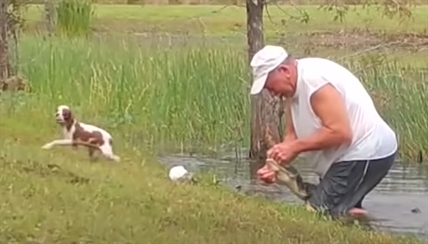 TRENDING NOW: Florida man rescues puppy from alligator's jaws | iNFOnews.ca