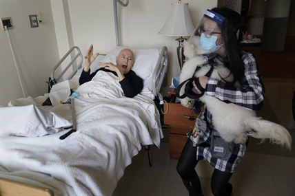 iN PHOTOS: Dogs ease pandemic isolation for nursing home residents | iNFOnews.ca