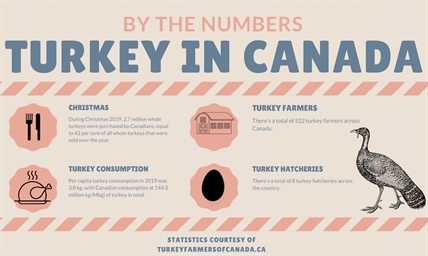 Smaller gatherings mean smaller turkeys. How will the industry adapt? | iNFOnews.ca