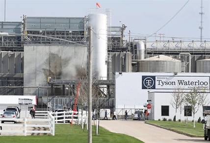 Fired Tyson Foods boss says COVID office pool at pork plant was 'morale boost' | iNFOnews.ca
