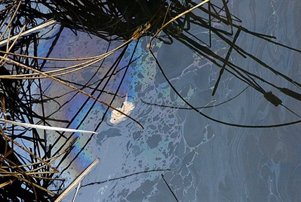 HAZMAT investigates oily spill in Wilson Creek | iNFOnews.ca