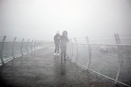 Conditions easing, ferry travel resumes after wind, rain batter B.C. coast | iNFOnews.ca