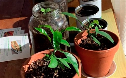 In an anxious winter, the garden still offers consolation | iNFOnews.ca