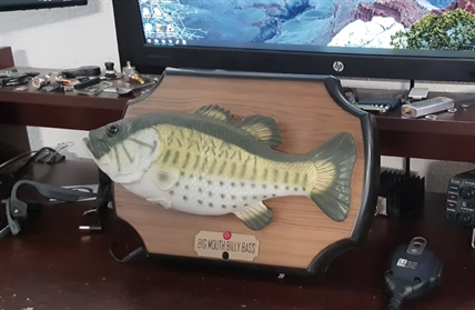 TRENDING NOW: Billy Bass and Alexa had a baby | iNFOnews.ca