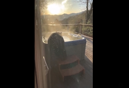 TRENDING NOW: Bear knows how to focus on self care | iNFOnews.ca