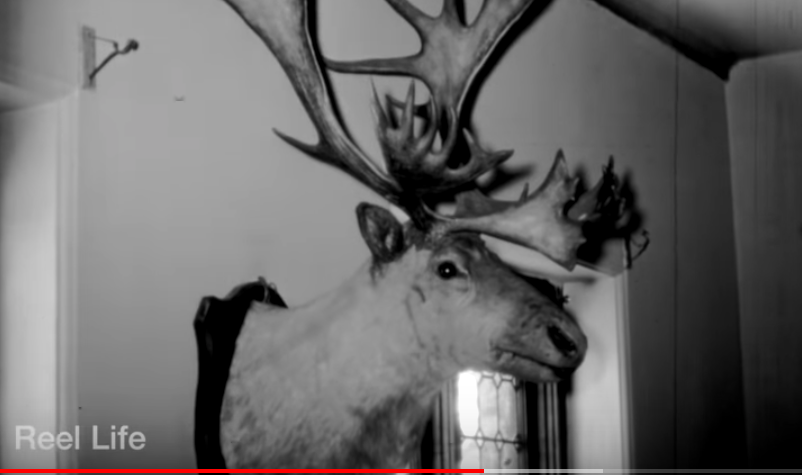 iN VIDEO: See Fintry Estate before new housing came in 1965 | iNFOnews.ca