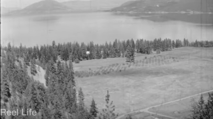 iN VIDEO: See Fintry Estate before new housing came in 1965 | iNFOnews.ca