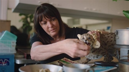 From birthdays to blue ribbons: Five tips for setting an epic, unforgettable table | iNFOnews.ca