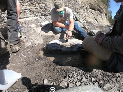 Amateur fossil hunter finds 84-million-year-old fossilized turtle on Vancouver Island | iNFOnews.ca Amateur fossil hunter finds 84-million-year-old fossilized turtle on Vancouver Island | iNFOnews.ca