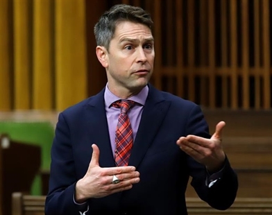 Oops, he did it again: Liberal MP caught on camera during virtual House of Commons | iNFOnews.ca