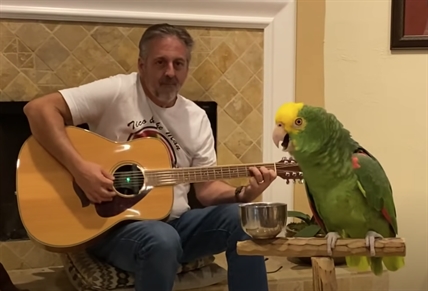 TRENDING NOW: This parrot's vocal ability will blow you away | iNFOnews.ca