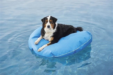 Right at Home: Splashy water toys for patio, pool, yard | iNFOnews.ca