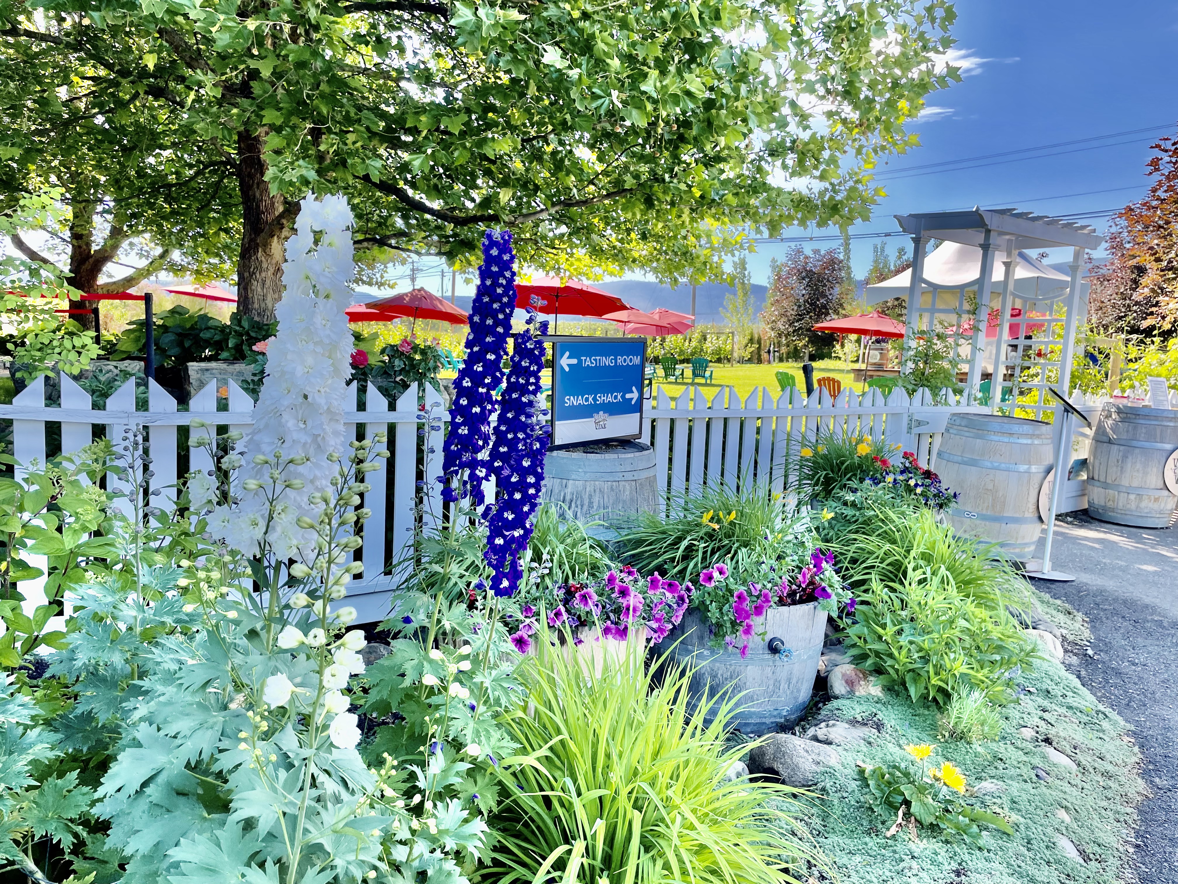 Vibrant Vine Winery: Wine, art, music | iNFOnews.ca