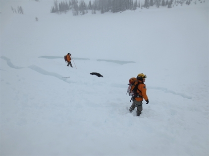 Two killed in avalanche near Lake Louise | iNFOnews.ca