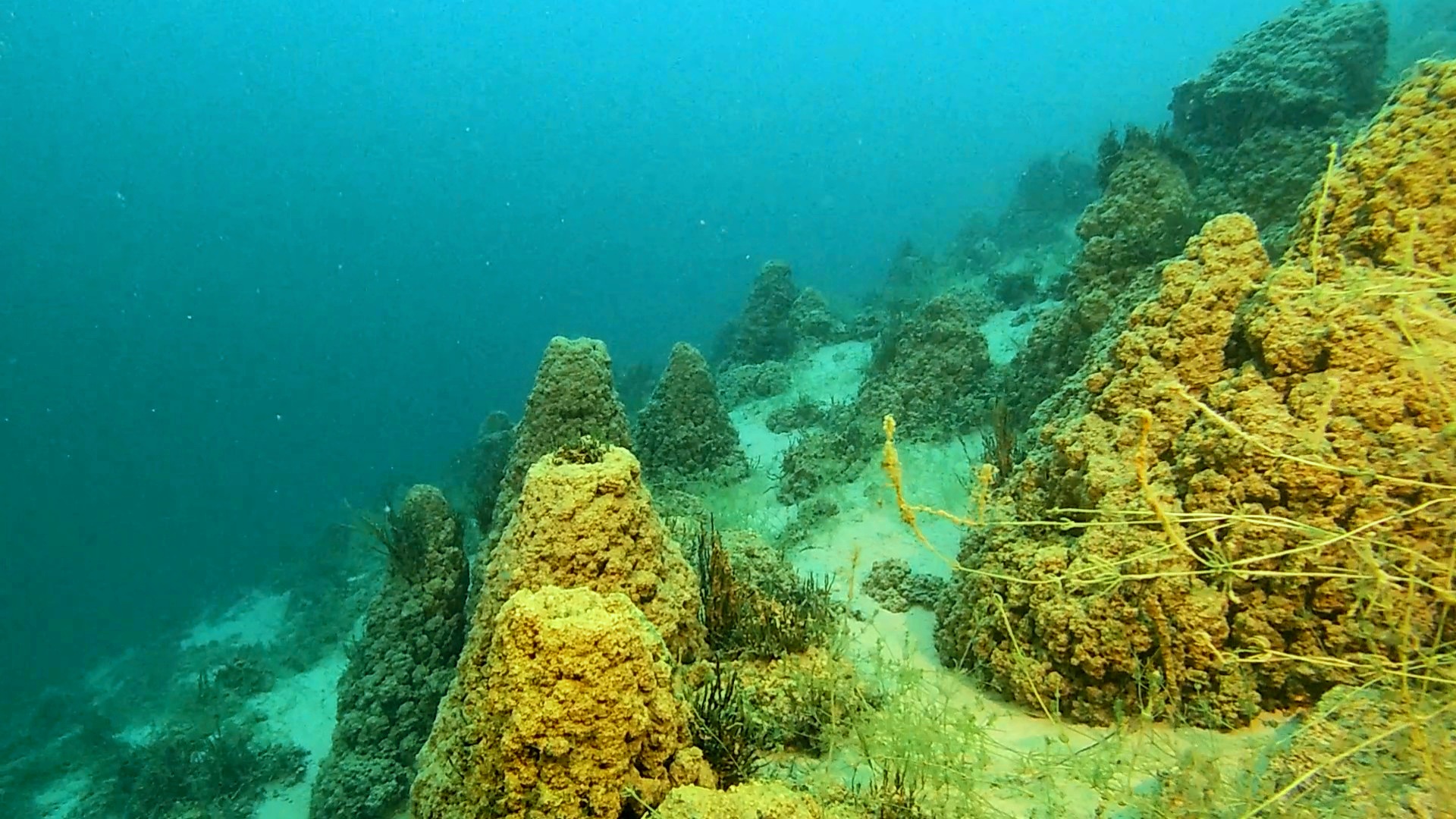 From Kelowna to Kamloops, Interior lakes hold underwater mysteries | iNFOnews.ca From Kelowna to Kamloops, Interior lakes hold underwater mysteries | iNFOnews.ca