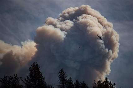 Leap in B.C. wildfire activity prompts many more evacuation orders, alerts | iNFOnews.ca
