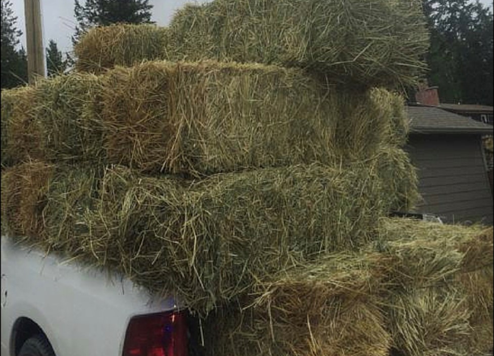 iN PHOTOS: Bizarre, unsafe violations spotted by B.C. commercial vehicle inspectors | iNFOnews.ca