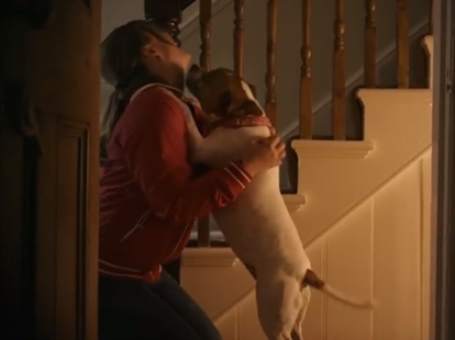 Why dogs are better than people | iNFOnews.ca