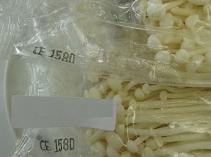 Jongilpoom brand enoki mushrooms recalled for possible Listeria contamination | iNFOnews.ca