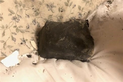 Meteorite that plummeted to Earth in Golden could shed light on solar system's origin | iNFOnews.ca Meteorite that plummeted to Earth in Golden could shed light on solar system's origin | iNFOnews.ca