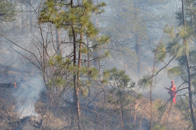 Wildfire in Lake Country first of the season for Vernon Forestry | iNFOnews.ca