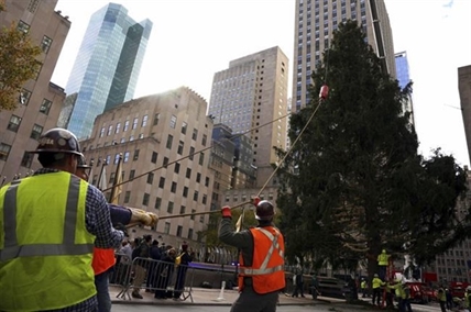 Home for the holidays: Rockefeller tree arrives in NYC | iNFOnews.ca Home for the holidays: Rockefeller tree arrives in NYC | iNFOnews.ca