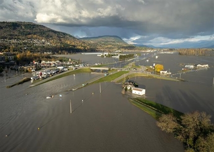 B.C. pot sector bracing for delivery challenges and shortages after extreme weather | iNFOnews.ca