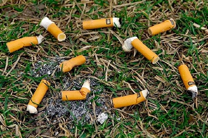 12-year-olds lighting up ignites action | iNFOnews.ca 12-year-olds lighting up ignites action | iNFOnews.ca