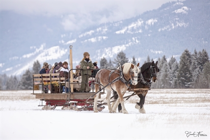 Christmas horse-drawn sleigh rides back in North Okanagan | iNFOnews.ca