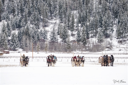 Christmas horse-drawn sleigh rides back in North Okanagan | iNFOnews.ca