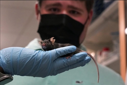 Jake's mice: Searching for answers to the puzzle of autism | iNFOnews.ca Jake's mice: Searching for answers to the puzzle of autism | iNFOnews.ca