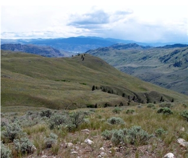 Nature group buys private Osoyoos land to preserve endangered B.C. grasslands | iNFOnews.ca